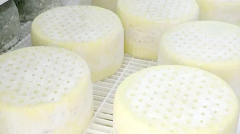 Production of cheese Stock Footage 62508247