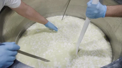 Production of Cheese on Modern Technology Stock Footage 321540526