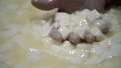 Production of Cheese with Mold . The Cheese-maker checks the Quality of the Curd Stock Footage