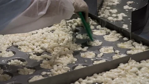 Production of cheese with mold . Cheese-maker from the curd grains, forms cheese Stock Footage 71502586