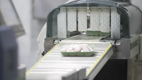 Production of chicken meat. Vacuum packaging chicken wings on conveyor Video stock 155083996