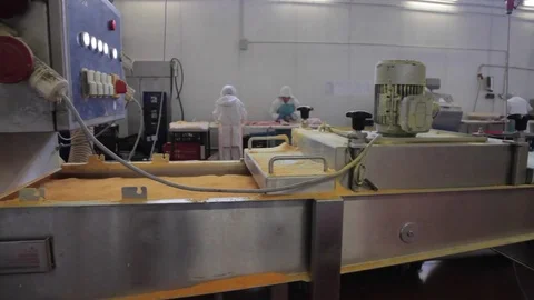 Production of chicken nuggets Stock Footage 81179798