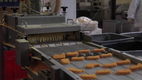 Production of chicken nuggets Stock Footage 81214296