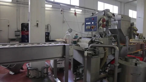 Production of chicken nuggets Stock Footage 81322096