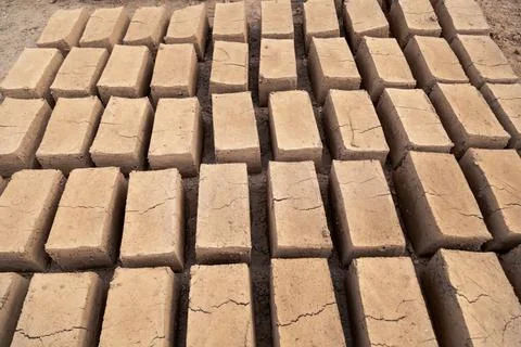 Production of clay brick in stacks, bricks are arranged on one by one Foto stock