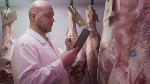 Production control man supervisor inspects, controls beef, production line of Stock Footage 327364399