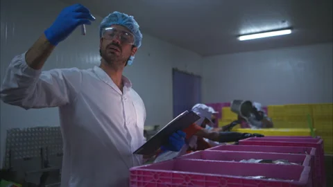 Production control supervisor inspects and controls the operation Stock Footage 308314768