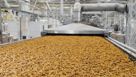 Production of crackers at the factory. Stock Footage 276911243