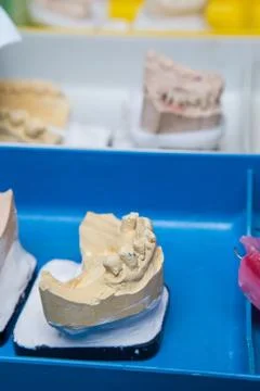 Production dentures Stock Photos