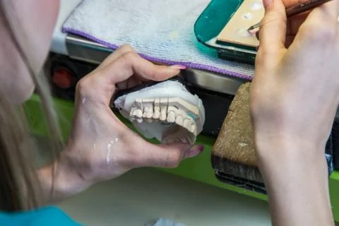 Production dentures Stock Photos