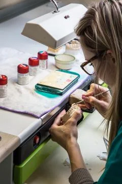 Production dentures Stock Photos