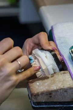 Production dentures Stock Photos
