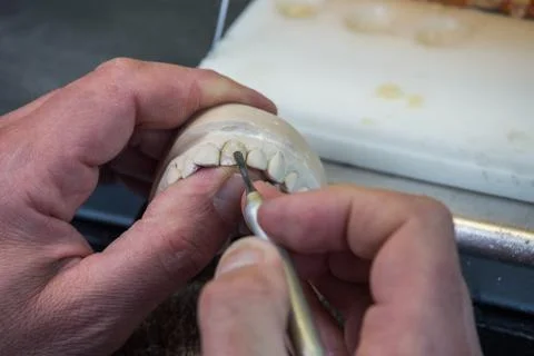 Production dentures Stock Photos