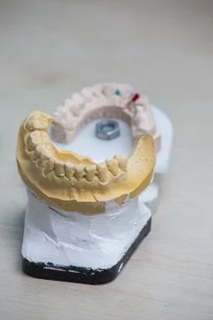 Production dentures Stock Photos