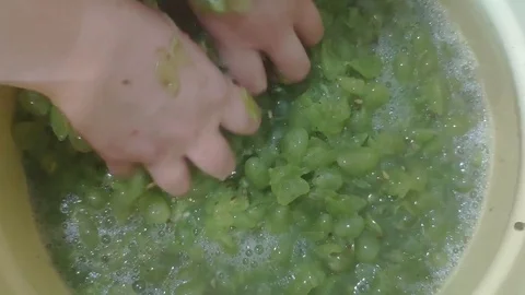 Production of dry white wine from white grapes. Manual grape crush Stock Footage 114737443