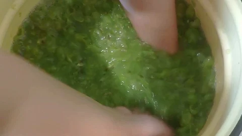Production of dry white wine from white grapes. Manual grape crush Stock Footage 114737444