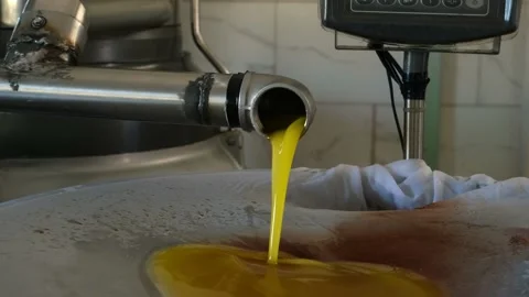 Production of extra virgin olive oil, cold processing Stock Footage 218422603