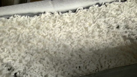 Production of extruded rubber Stock Footage 99161824