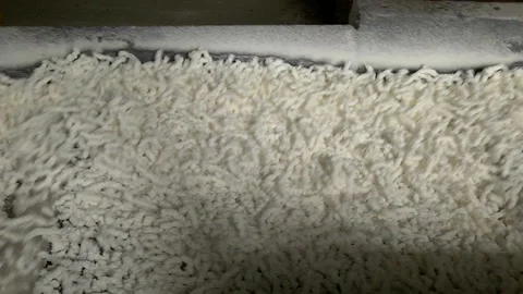 Production of extruded rubber Stock Footage 99162077