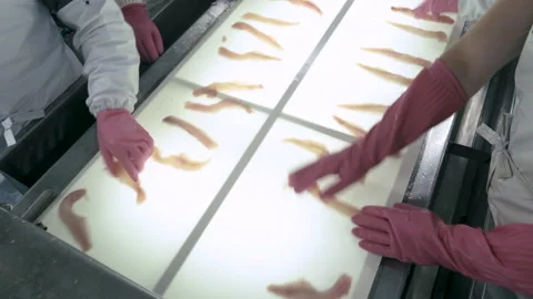 Production of fish fillets from pollock. Stock Footage 161217454