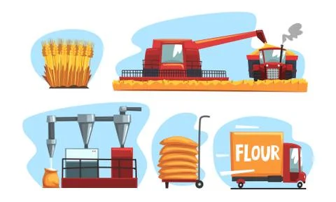Production of Flour and Bread Set, Industrial Wheat Processing Vector Stock Illustration
