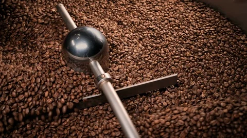 Production of fresh fried coffee beans roasting factory process in machine Stock Footage 115877121