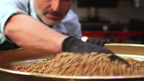 Production of fresh fried coffee beans roasting factory process Stock Footage 147103019