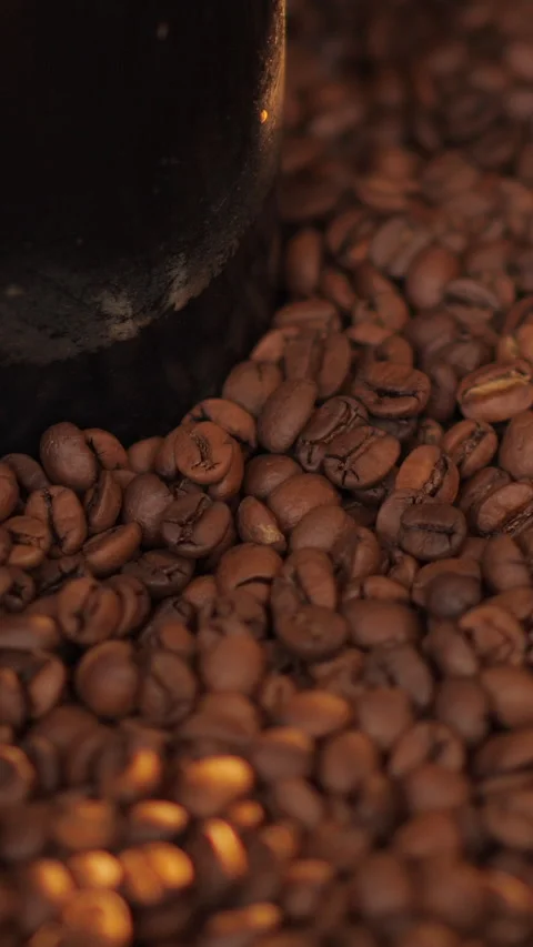 Production of fresh fried coffee beans roasting factory process. Prepared coffee Video stock 308395401