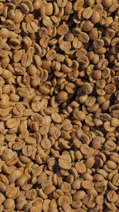 Production of fresh fried coffee. Beans falling into funnel. Preparation fresh Video stock 308399574
