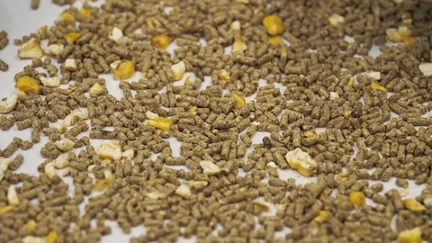 Production of granulated feed for cows Stock-Footage 125990190