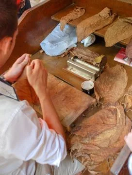 Production of handmade cigars. Stock Photos