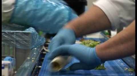Production of healthy meal in food factory: wraps Stock Footage