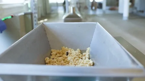 Production of instant noodles Stock Footage 84794083