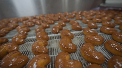 Production line of baking cookies Stock Footage 102060477