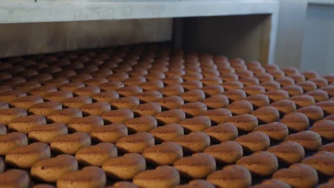 Production line of baking cookies Stock Footage 102060799