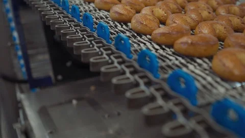 Production line of baking cookies Stock Footage 102462006