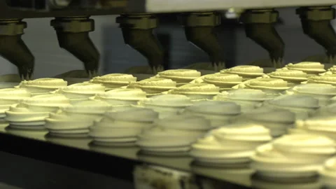 Production line of baking cookies Stock Footage 162562958