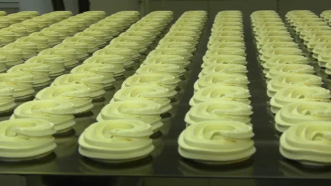 Production line of baking cookies Stock Footage 162689322