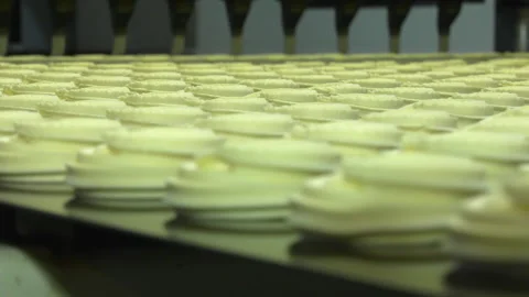 Production line of baking cookies Stock Footage 162690672