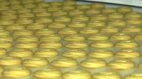 Production line of baking cookies Stock Footage 162694366