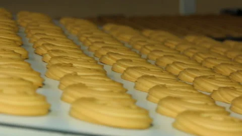 Production line of baking cookies Stock Footage 162695142