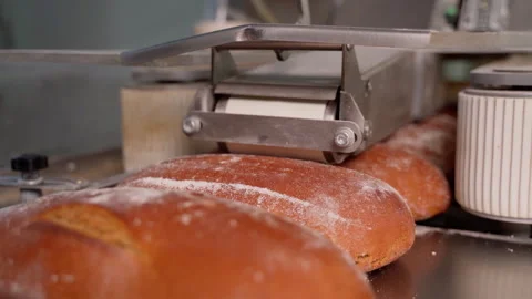 Production line in the bread making factory on an automated conveyor belt Stock Footage 250257330