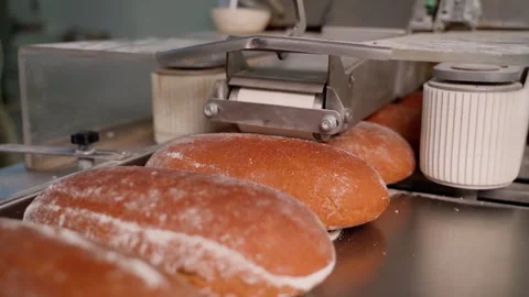 Production line in the bread making factory. Slow motion Stock Footage 250273758