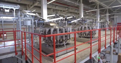 Production line at food processing plant Video stock 80631979