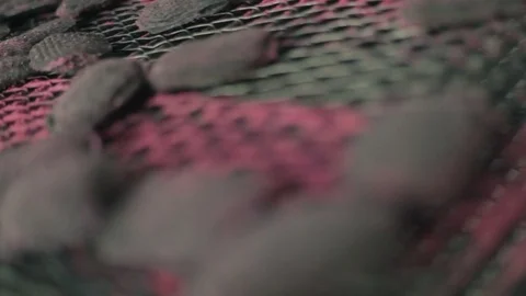 Production line 스톡 동영상 73191147