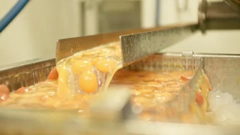 Production line for liquid eggs in industrial facility Stock Footage 331669936