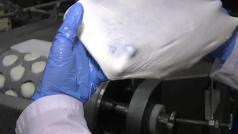 Production line machinery processing freshly fermented cheese. Stock Footage 114439329