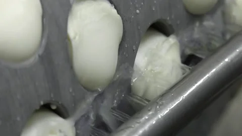 Production line machinery processing freshly fermented cheese. Stock Footage 114439403