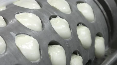 Production line machinery processing freshly fermented cheese. Video stock 114439463