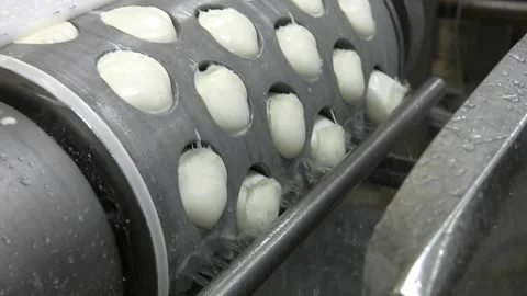 Production line machinery processing freshly fermented cheese. Stock Footage 114439496